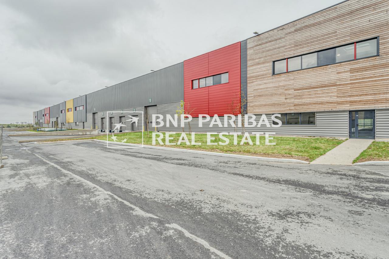 Local d'activité Louvres 2314m² Location local d'activité Louvres Val-d'Oise OLACT2530703 6